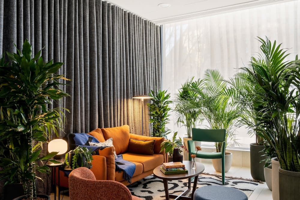 Cove Landmark Pinnacle